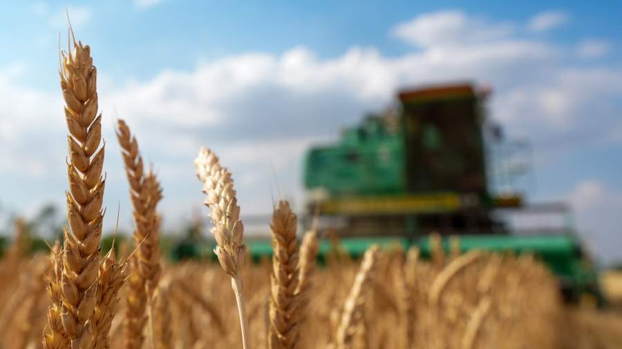 Saudi Agriculture 2026: The Essential Guide for Exhibitors and Visitors