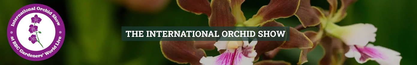 UK International Orchid Show 2026: Why Serious Growers Show Up