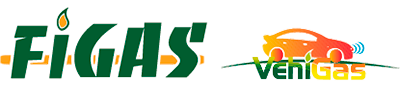 FIGAS & VEHIGAS 2026 logo