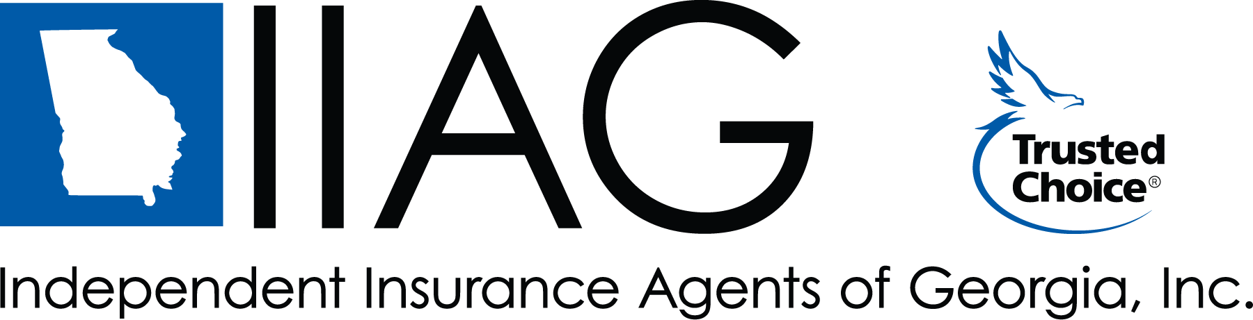 IIAG Annual Convention 2026