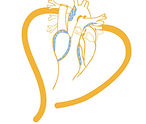 World Congress on Insulin Resistance Diabetes & Cardiovascular Disease 2026