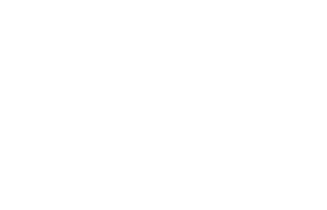 Governor's Conference on Diverse Business Development logo