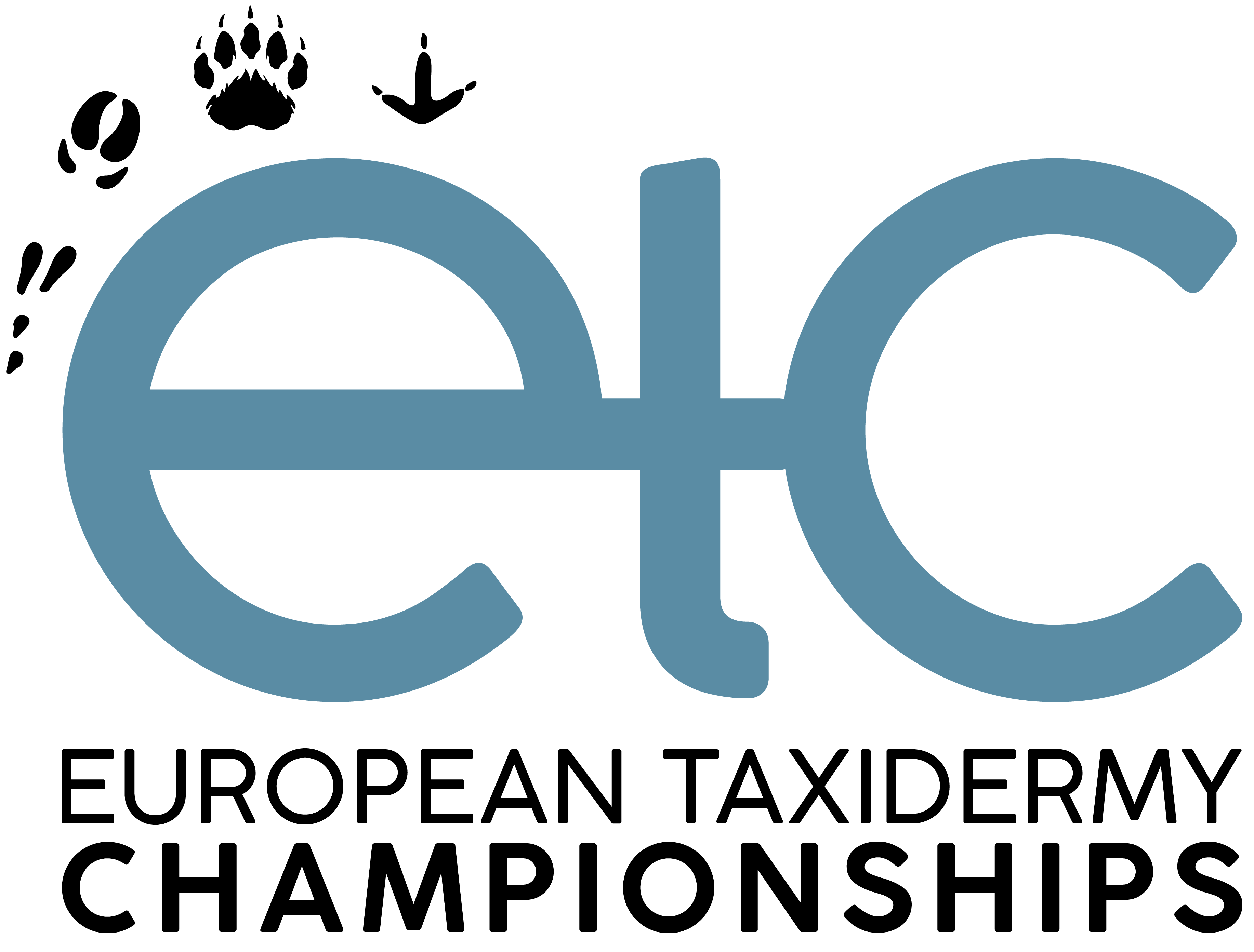 ETC Preview logo