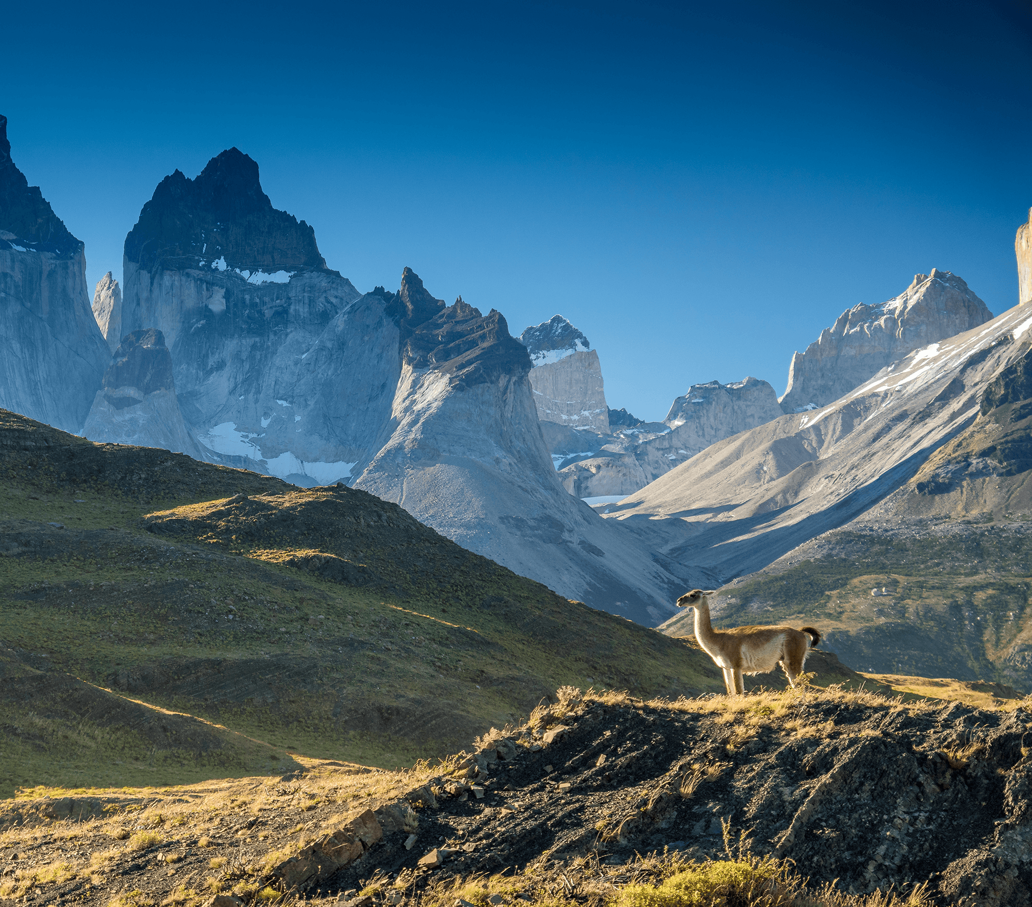 ITB Americas - International Tourism Exhibition 2026