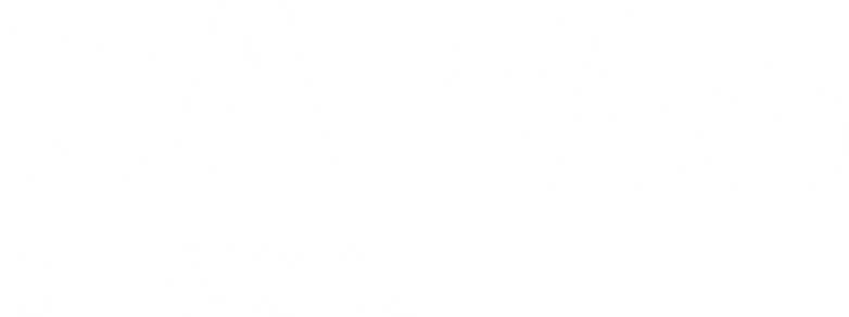 CAPAS - Chengdu International Trade Fair for Automotive Parts and Aftermarket Services logo