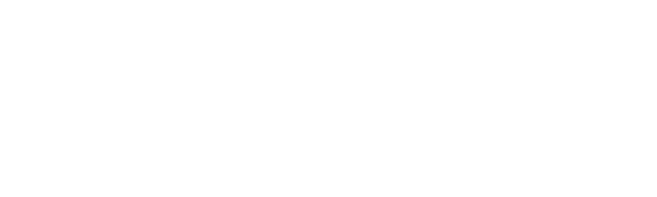 Society for Experimental Dynamics - SEM IMAC logo