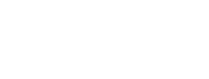 2026 VPPPA Region II Conference logo