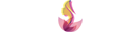 Days of Beauty and Health-2027 logo