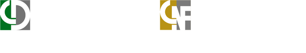 China Diecasting 2026 logo