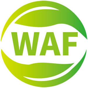 IFE CHINA - WORLD ECOLOGICAL EXPO 2026 logo