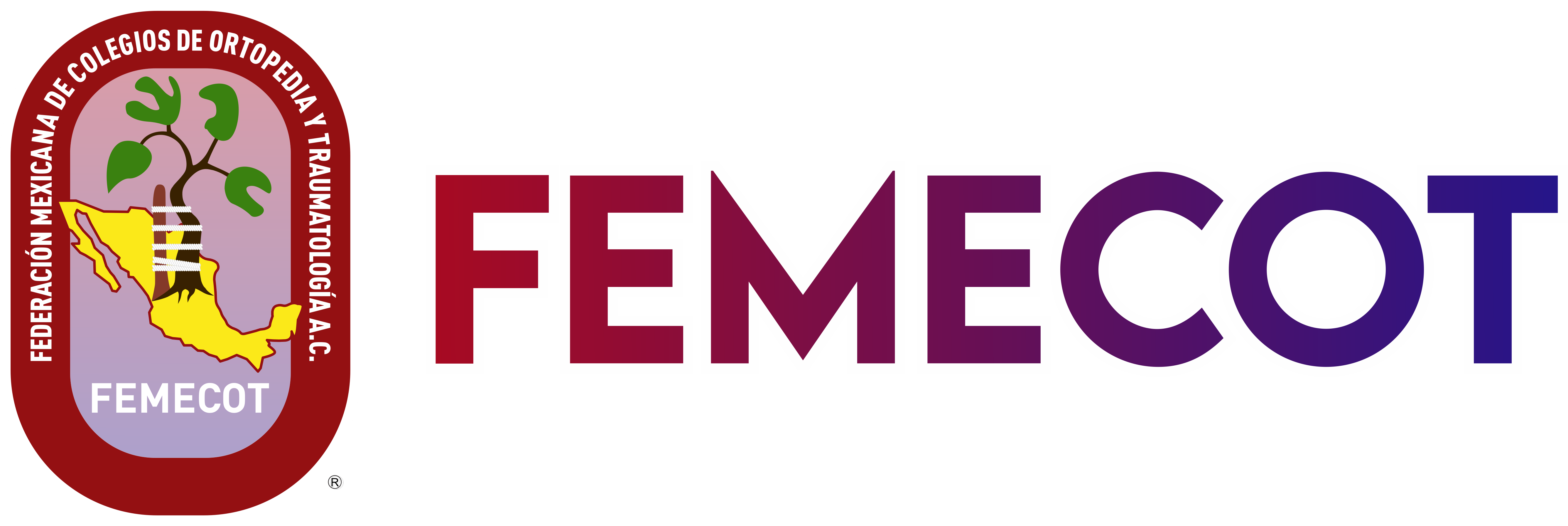 Femecot 2026 logo