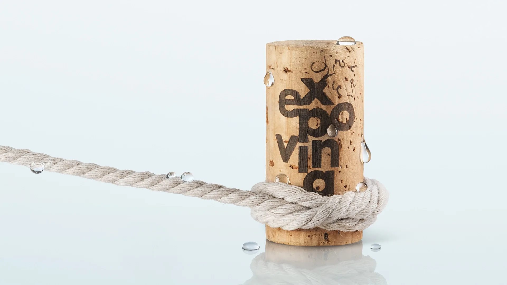 Official imagery from Expovina wine ships