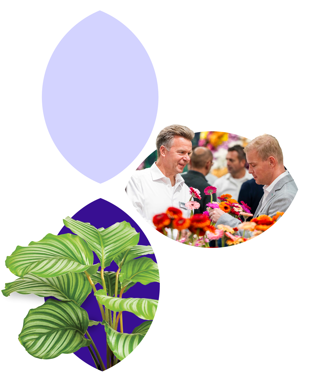 Officiële eventbranding van Trade Fair Aalsmeer