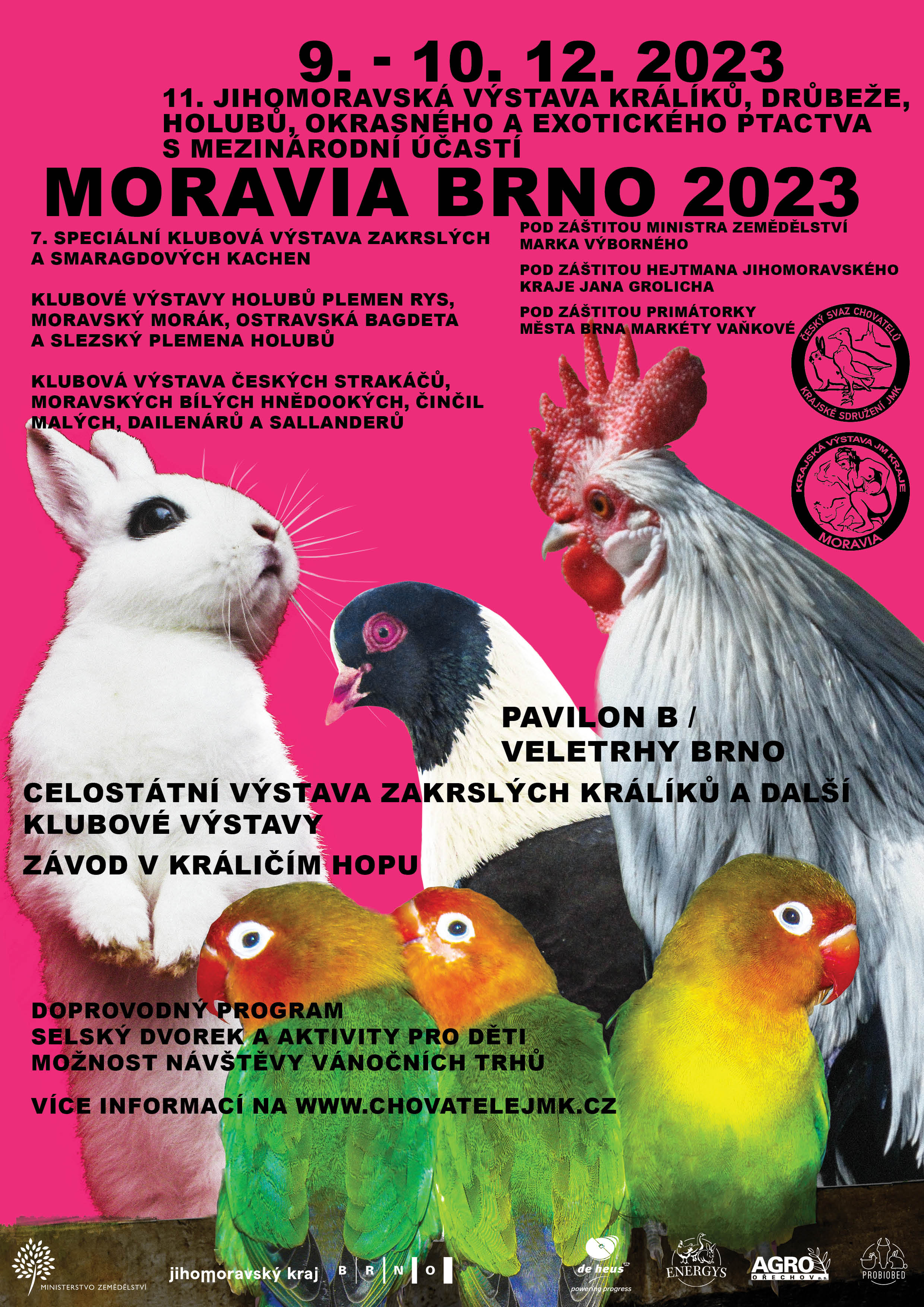 Dog show highlights at Moravia Brno