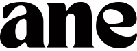 AVN Novelty Expo 2027 logo