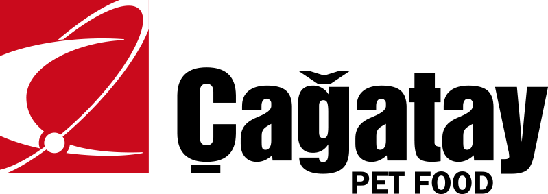 PET İZMİR 2027 logo