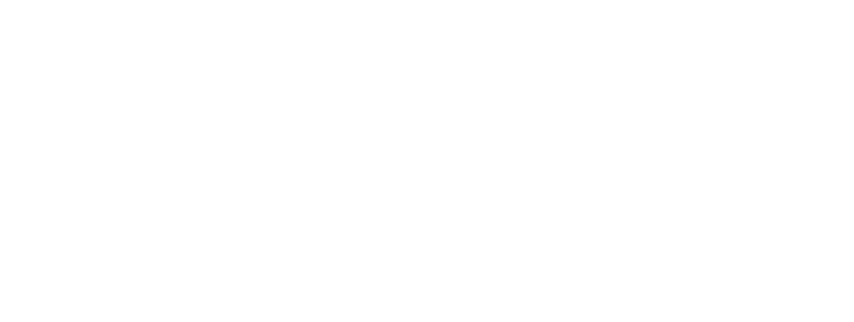 International Franchise Show logo