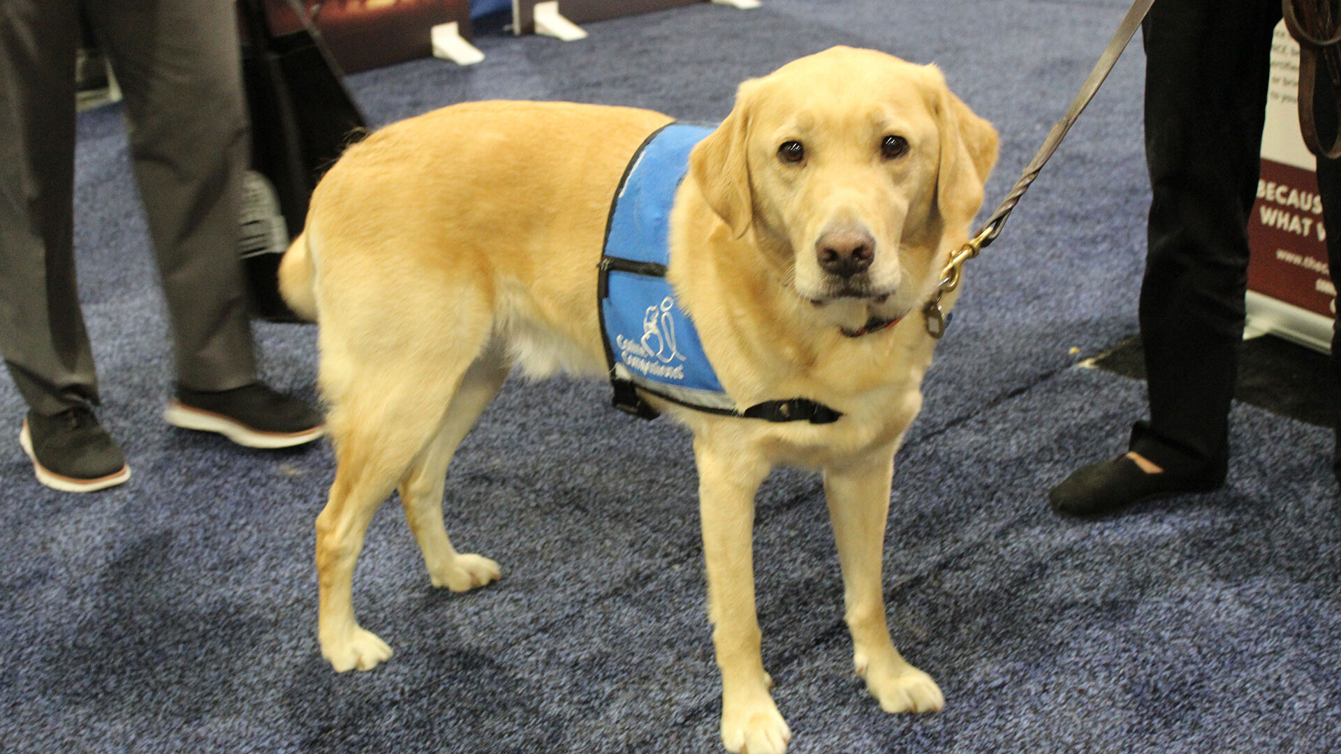 Service-dog exhibit-floor feature at Workshop 2025.