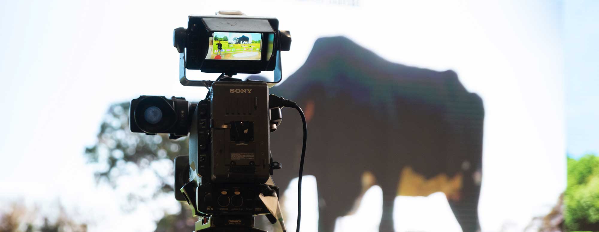 Visuels officiels du Paris International Agricultural Show