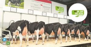 Dog show highlights at Rundvee & Mechanisatie Vakdagen Gorinchem