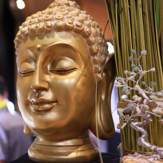Official imagery from LE SALON LE PRINTEMPS DU BIEN-ÊTRE 2026
