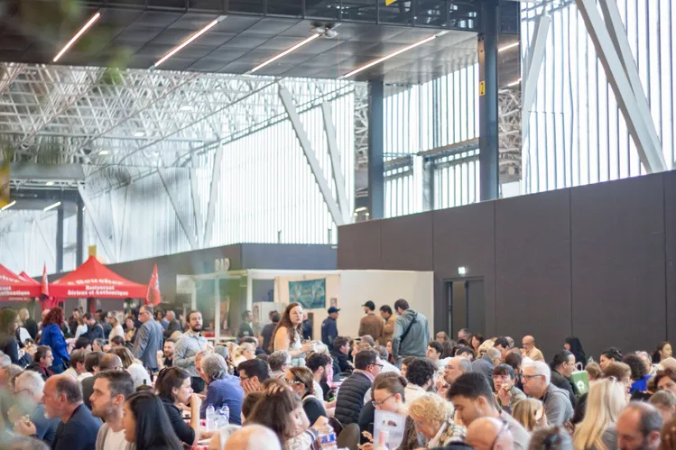 Identité visuelle officielle du SALON VIN ET TERROIRS 2026