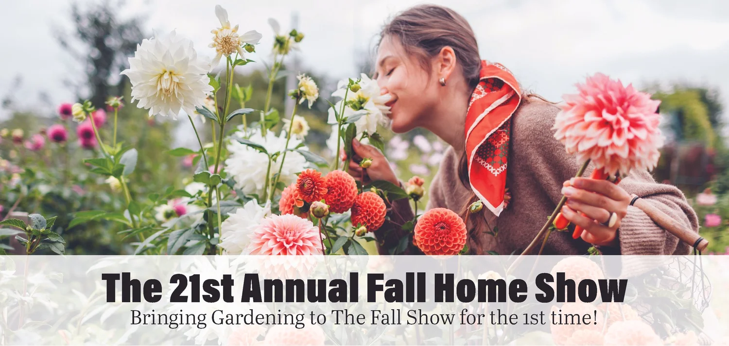 Dog show highlights at Fresno Home Show (Home Remodeling and Decorating)
