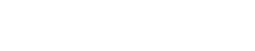 DataConnect Conference 2026 logo