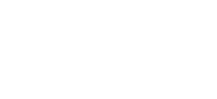 Paris Vascular Insights Course 2026 logo