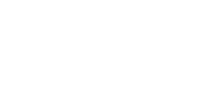 Smart Delivery Expo logo