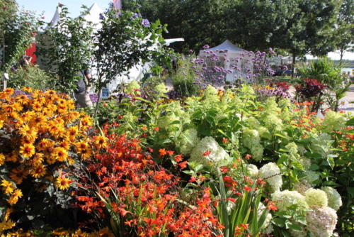 Official imagery from trends-Markt im Park