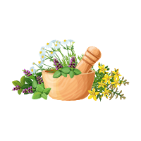 Traditional Medicine and Ethnomedicine World Conference 2026 logo