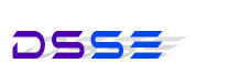 2026 International Conference on Data Science and Software Engineering (DSSE 2026) logo