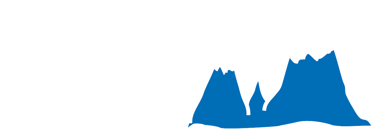 WIRM - World Immune Regulation Meeting logo
