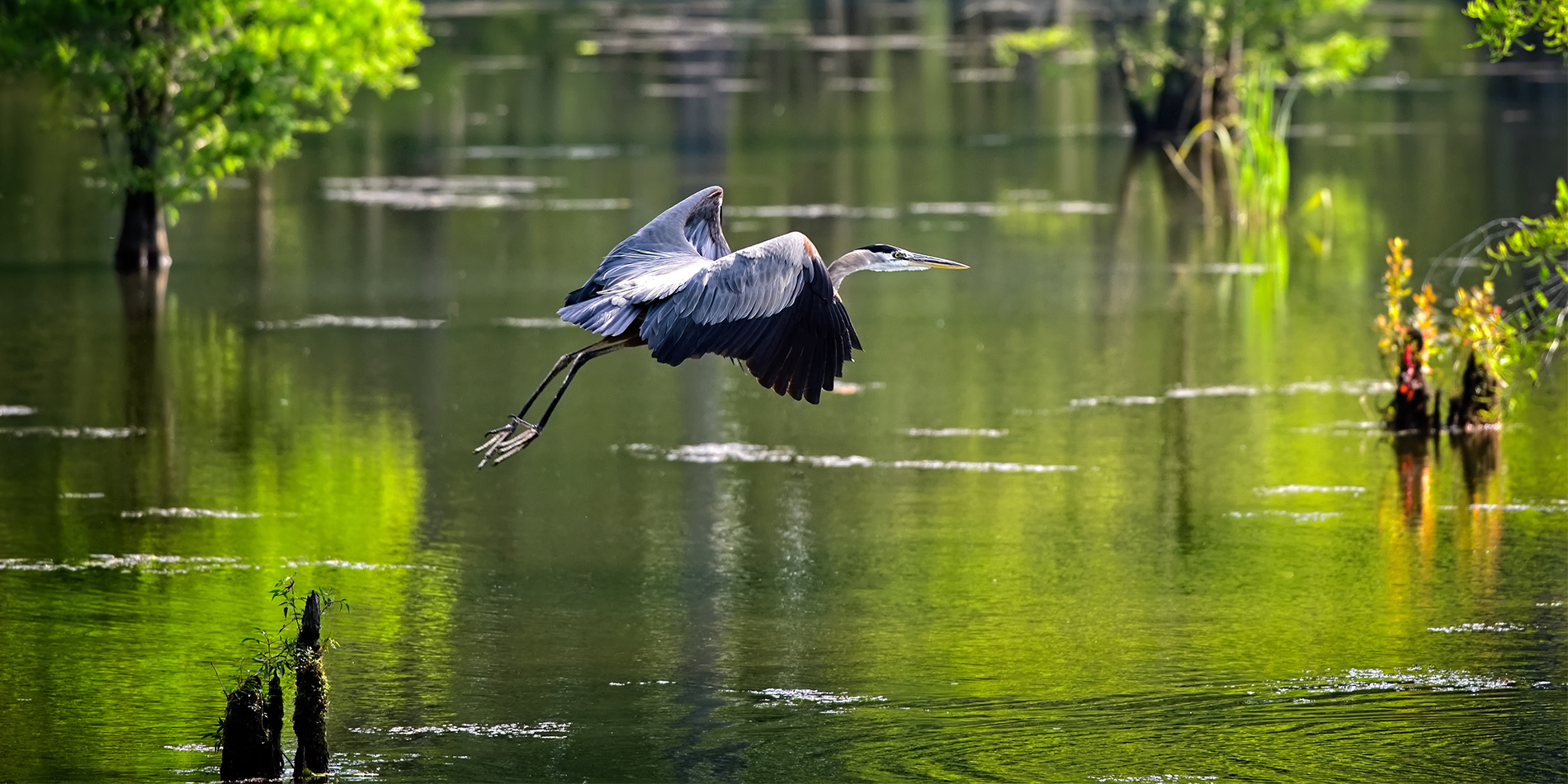 Official imagery from IOSC International Oil Spill Conference