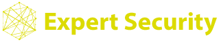 Expert Security logo
